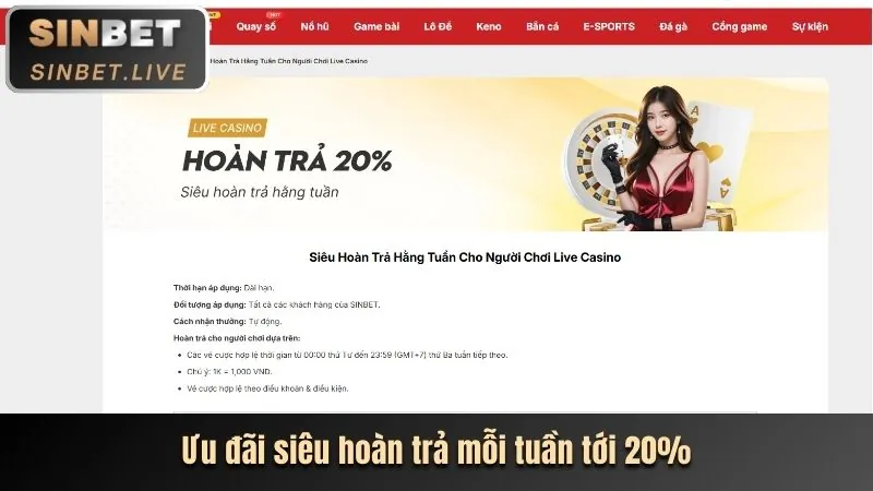 Minh họa các chương trình khuyến mãi và ưu đãi